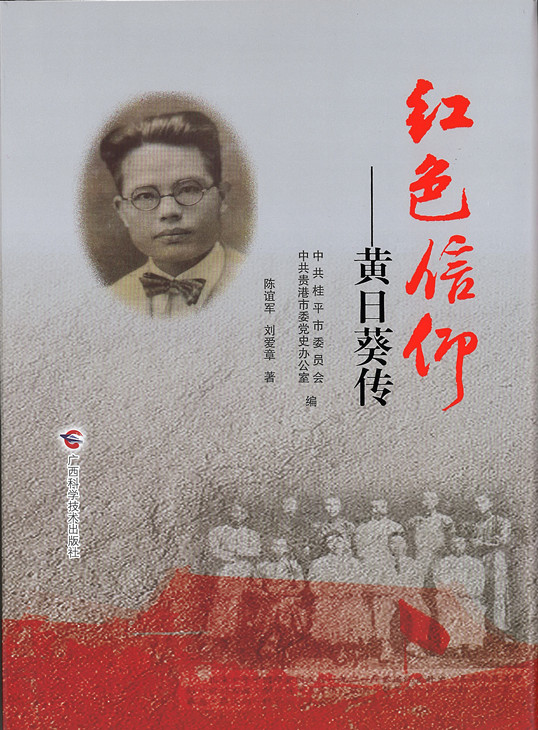 我是否应该养育供卵试管婴儿的囊胚？