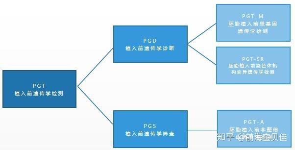 广州哪个供卵试管婴儿育儿医生成功率高
