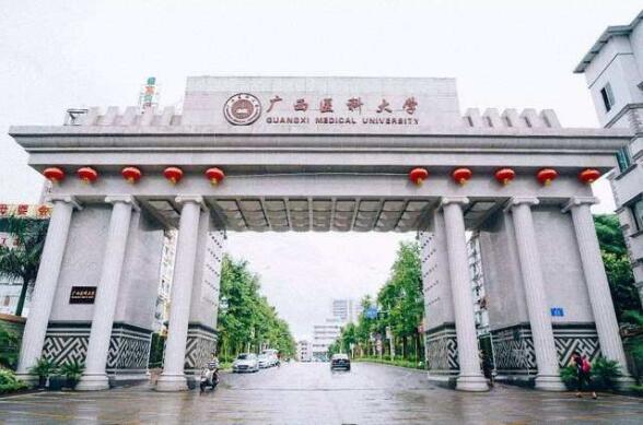 不孕不育夫妇可以去美国做第二代供卵助孕代生试管，保证成功率吗？