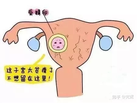 在柬埔寨做三代供卵做代怀医院排名前三的医院有RFG吗