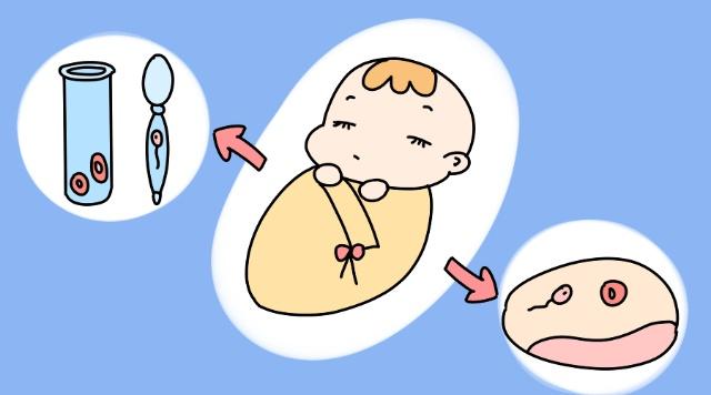 广州圆梦供卵做试管