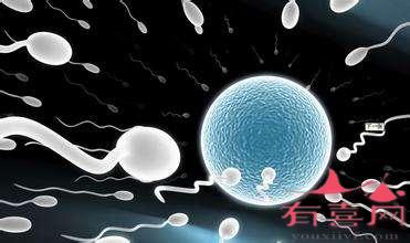 2023年试管婴儿医保怎样去那里买