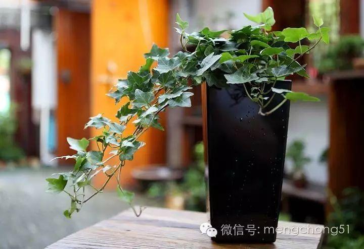 做试管检查完了什么时候开始促排