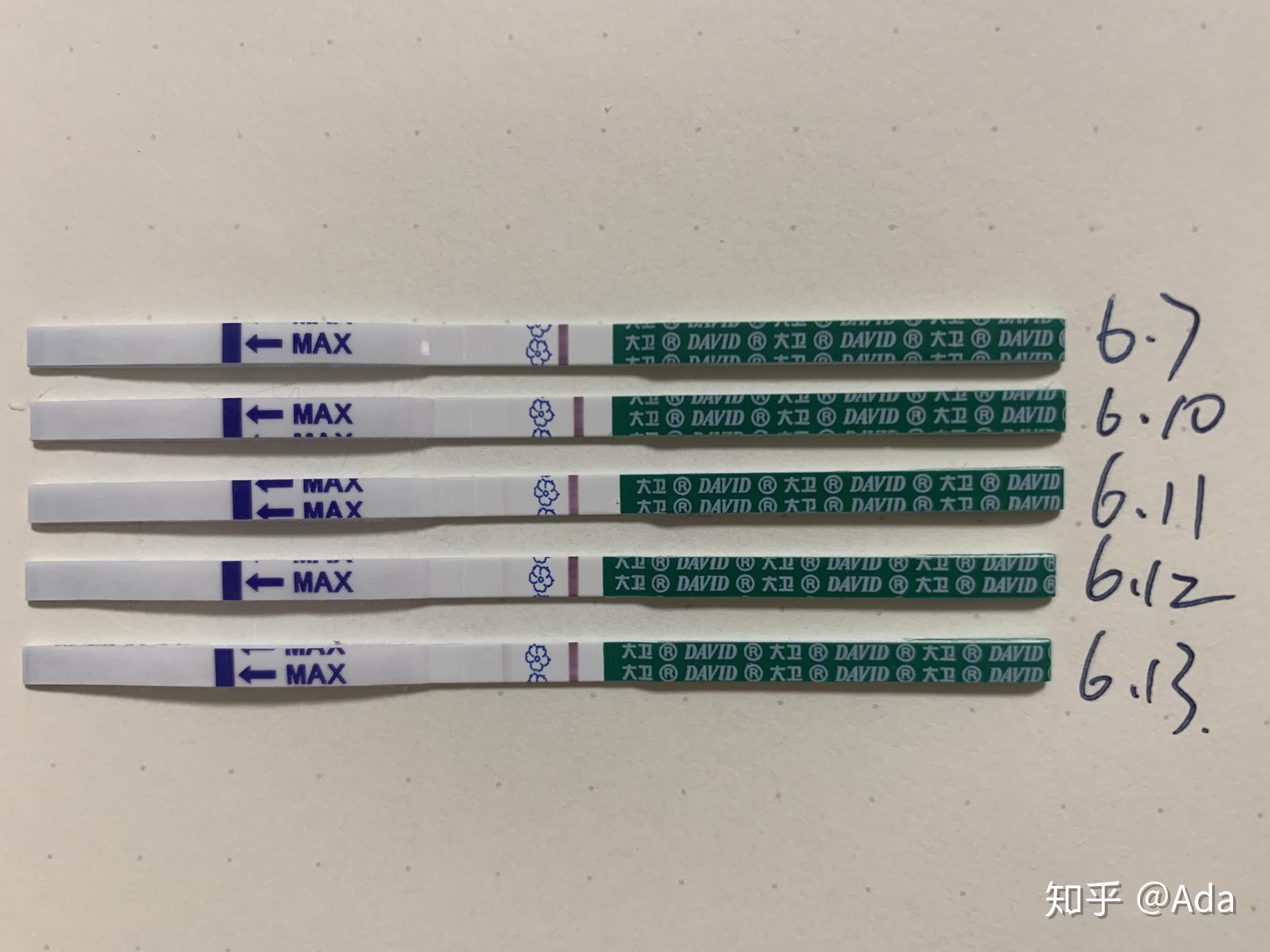 广州市允许单身做试管