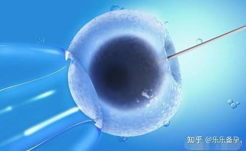 做试管婴儿前的检查结果多久有效