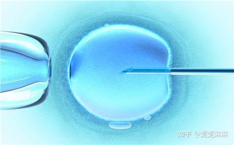 试管冻胚一般可以在医院冷冻保留几年？