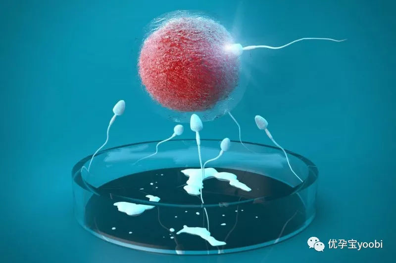 最新广州1家男子代生医院排名、哪家成功率最高