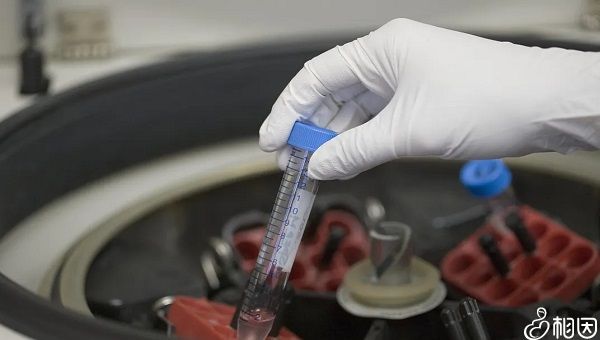西北妇幼安全的借卵试管代怀多少钱+西北妇幼供卵做试管