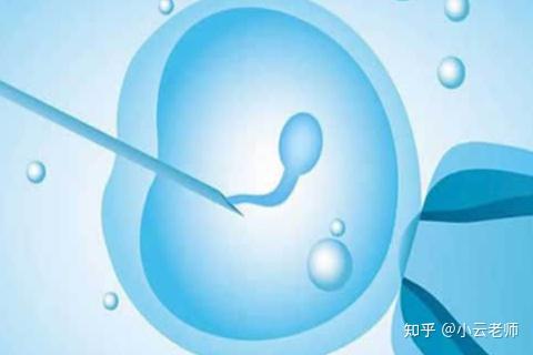 西北妇幼安全的借卵试管代怀多少钱+西北妇幼供卵做试管