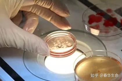 广州市妇幼保健院能供卵代怀宝宝吗？