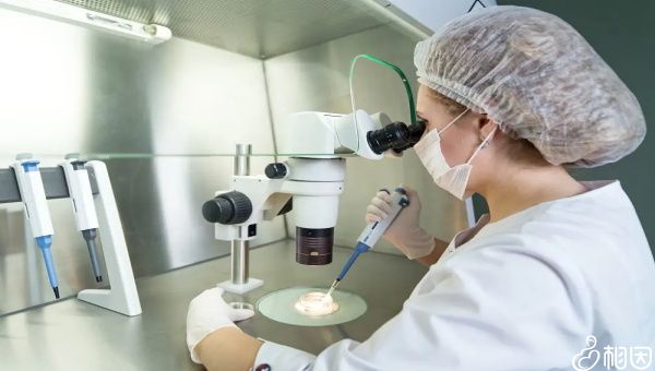 广州市中心医院试管水平如何（附费用与成功率）