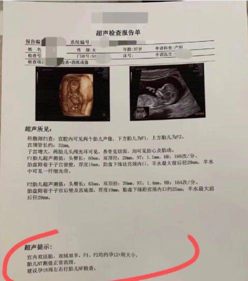 一年中借卵代生试管的最佳月份是几月