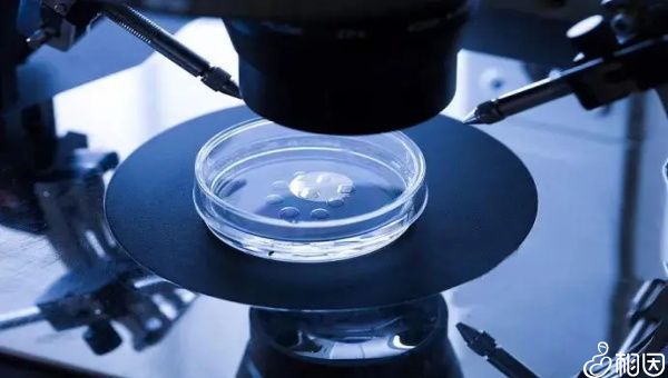 2024广州宫腔粘连国内试管代怀怎么找婴儿需要多少钱（附供卵试管代怀包生男孩生男孩费用参考）