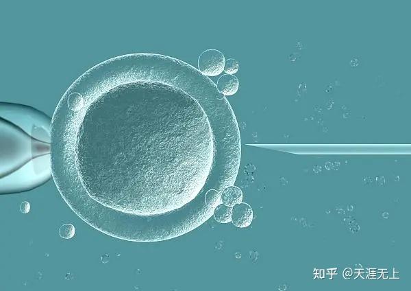 2024年三代供卵代生子机构怎么做的全过程