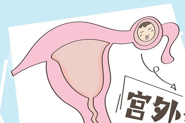排卵有问题是什么原因造成的（排卵期不排卵是什么原因导致的）